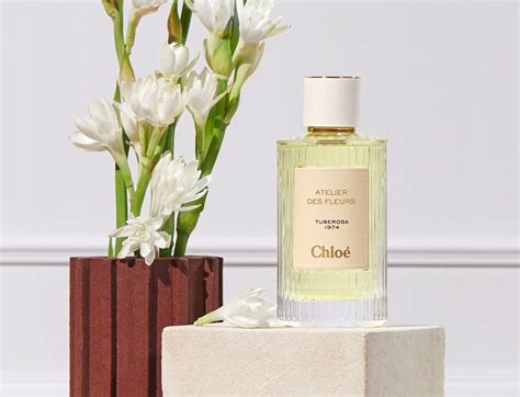 chloe perfume private collection|chloe perfumes official.